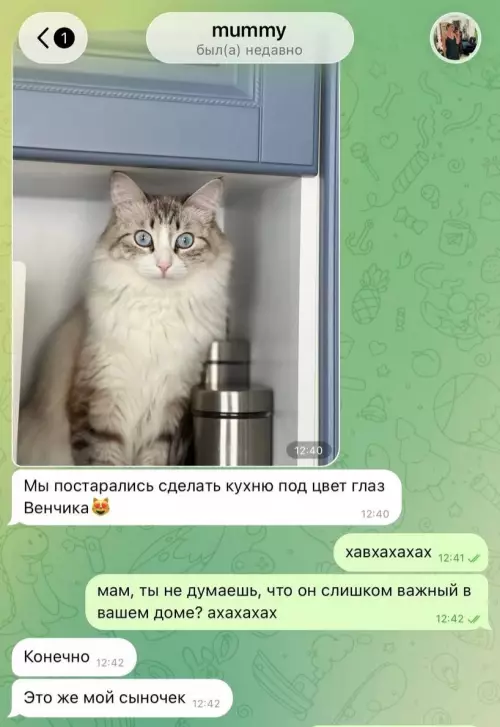 продолжение Моя мама не хочет котенка