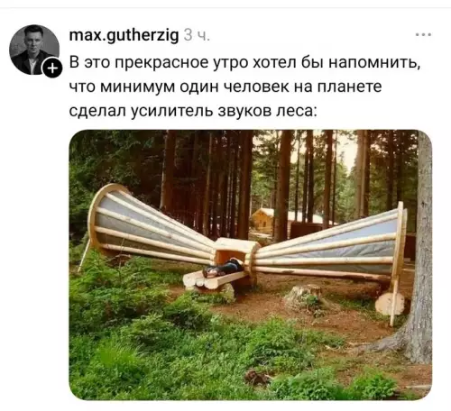 Смешная картинка №821485 Не расслышал сову
