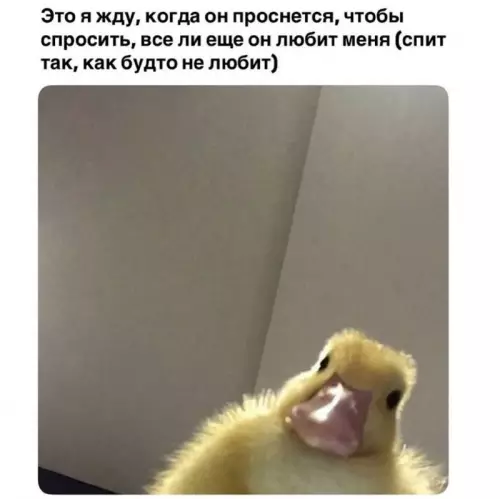 Смешная картинка №739303