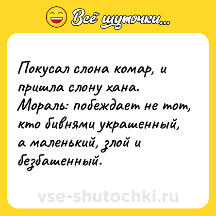 Шутка: Покусал слона комар, и пришла слону хана. Мораль: побеждает не тот, кто бивнями украшенный, а маленький, злой и безбашенный.