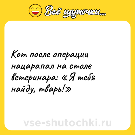 Шутка: Кот после операции нацарапал на столе ветеринара: «Я тебя найду, тварь!»