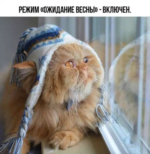 Смешная картинка №238876