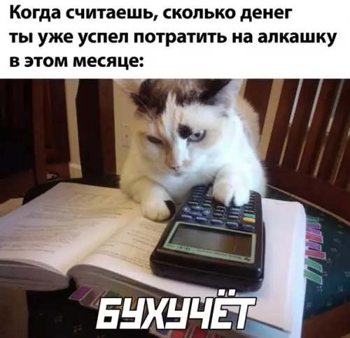 Смешная картинка №503384