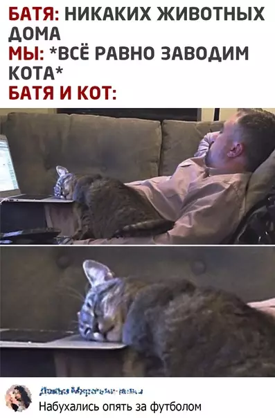 Смешная картинка №579471