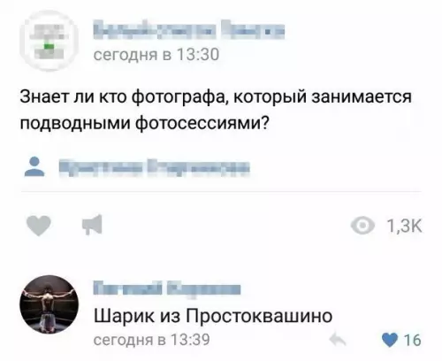 Смешная картинка №207290 В поисках фотографа