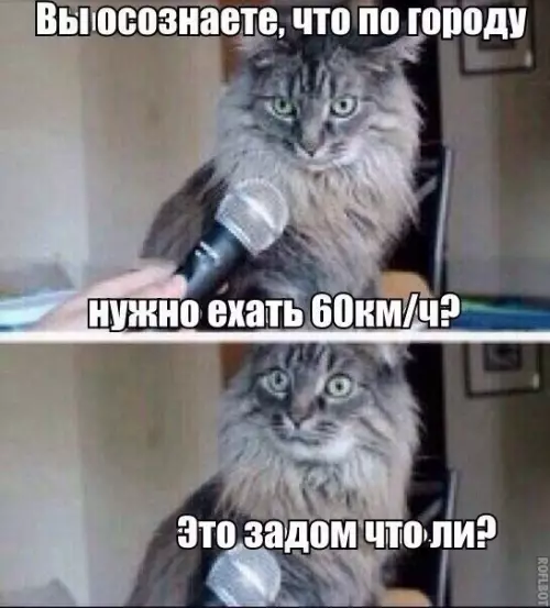 Смешная картинка №214712