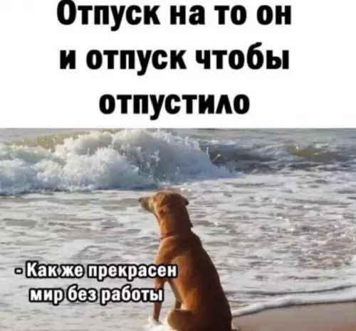 Смешная картинка №728382 отпуск
