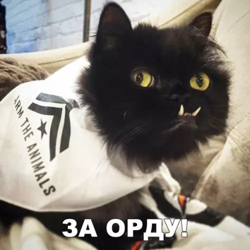 Смешная картинка №245377