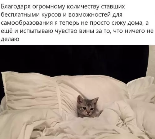 Смешная картинка №483890