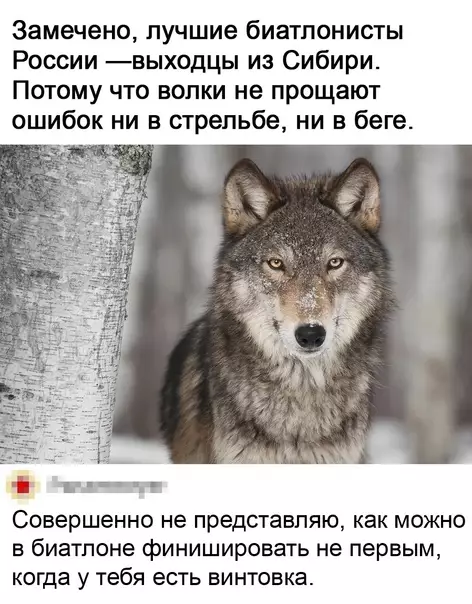 Смешная картинка №611518 Cибиpcкий вид спорта