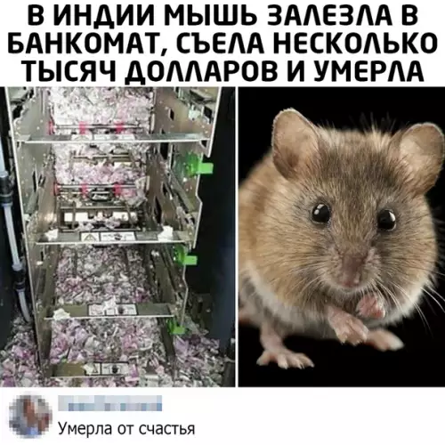 Смешная картинка №503889
