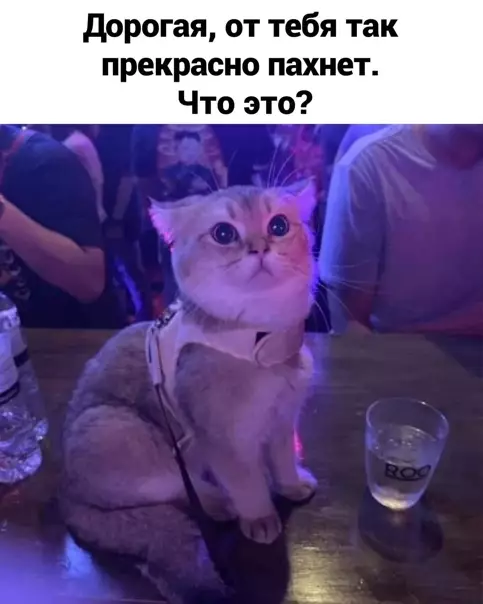 Смешная картинка №559489 Дapитe пoдapки вoвpeмя :)