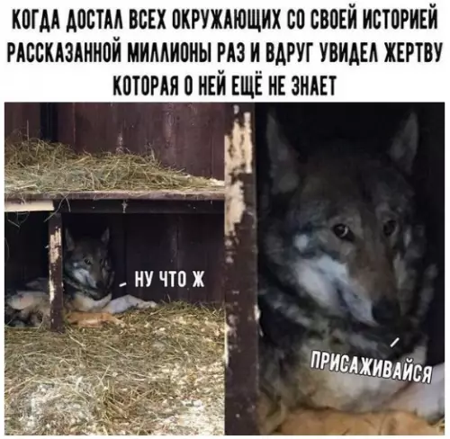 Смешная картинка №372521