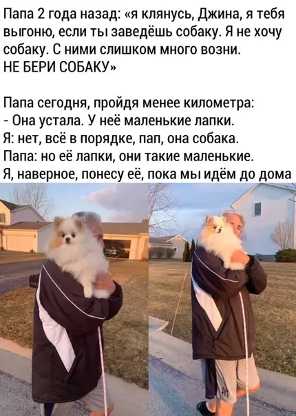 Смешная картинка №479726