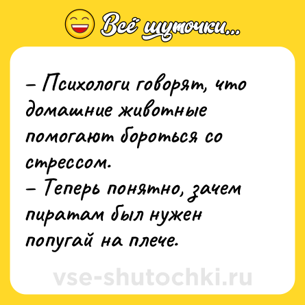 Шутка: – Психологи говорят, что домашние животные помогают бороться со стрессом.<br>– Теперь понятно, зачем пиратам был нужен попугай на плече.