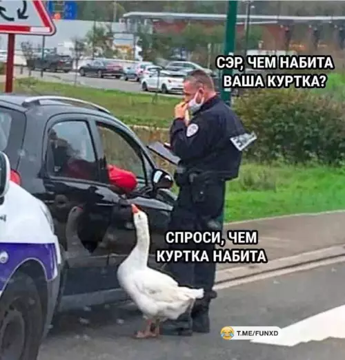 Смешная картинка №698816