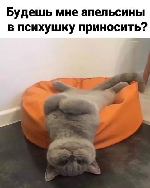 Смешная картинка №533711