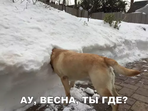 Смешная картинка №254095