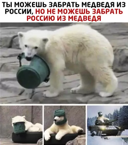 Смешная картинка №495078