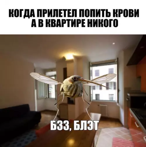 Смешная картинка №283066