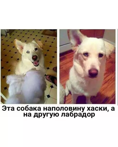 Смешная картинка №413724 Удивительно!