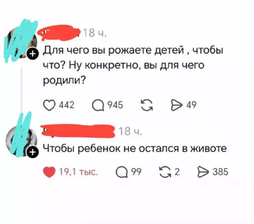 Гений мысли на связи! 😂 - Для чего вы рожаете детей , чтобы что? Ну конкретно,