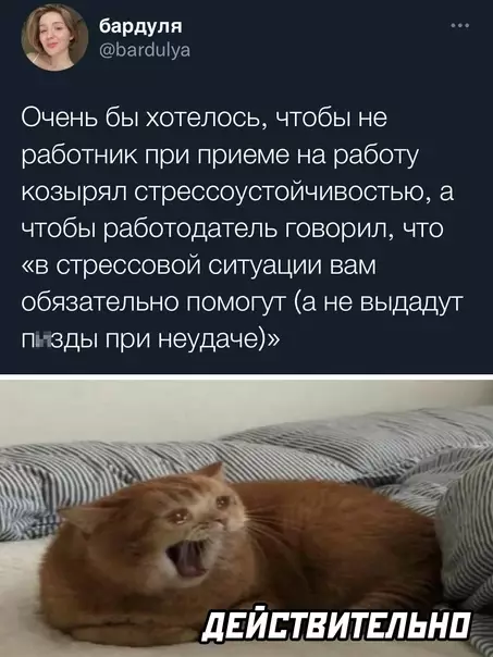 Смешная картинка №602686 Работа