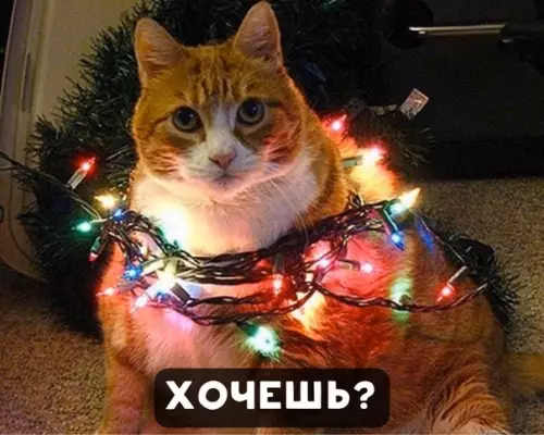 Смешная картинка №426627 Нет уж, cпacибочки