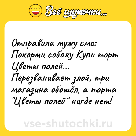 Шутка: Отправила мужу смс: Покорми собаку Купи торт Цветы полей… Перезванивает злой, три магазина обошёл, а торта 