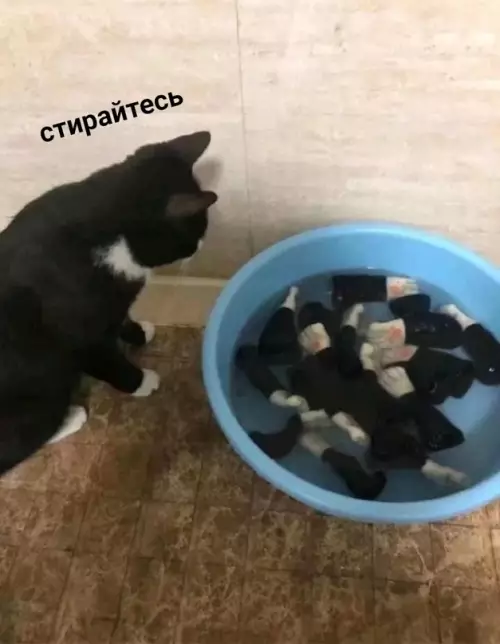 Смешная картинка №605908 Когда привык всё контролировать
