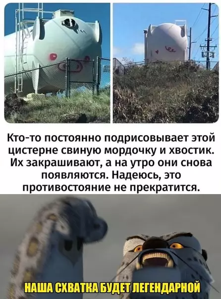 Смешная картинка №579931 Оставьте свинку в покое!