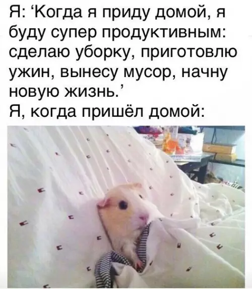 Смешная картинка №258076