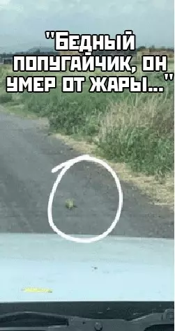 Смешная картинка №409175