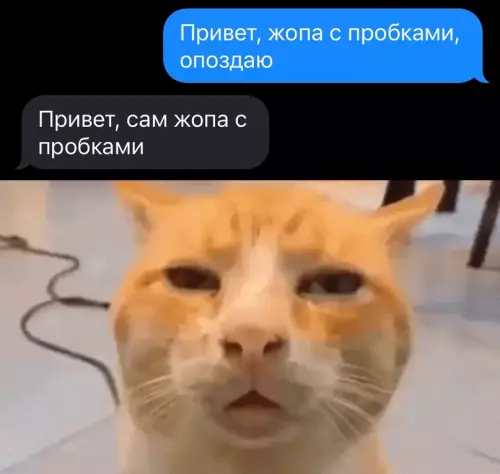 Смешная картинка №677218