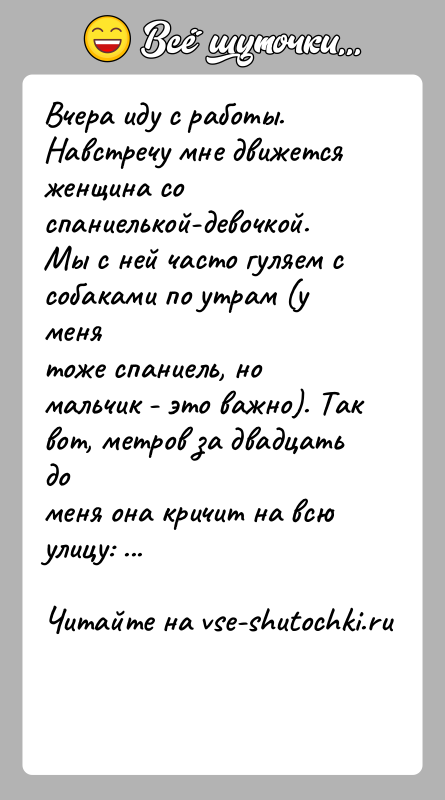 История: Вчера иду с работы. Навстречу мне движется женщина соспаниелькой-девочкой. Мы с ней часто гуляем с собаками по утрам (у менятоже