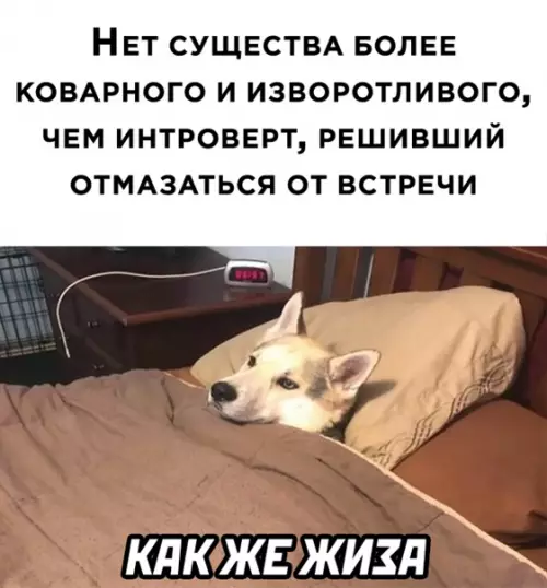 Смешная картинка №564501