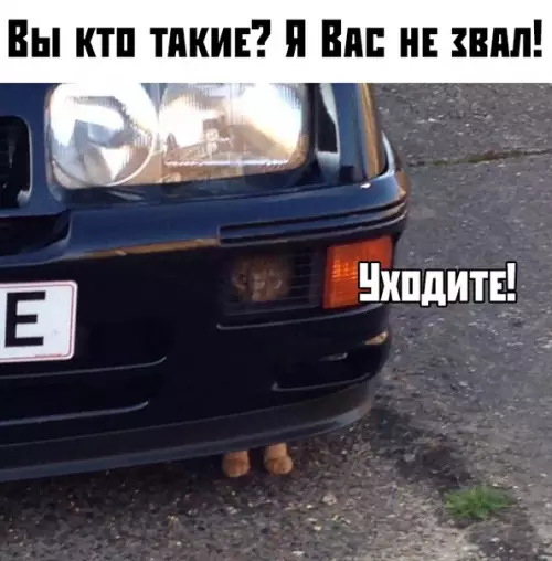 Смешная картинка №380885