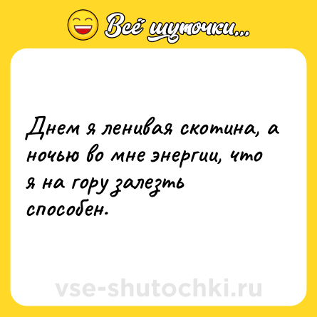 Шутка: Днем я ленивая скотина, а ночью во мне энергии, что я на гору залезть способен.