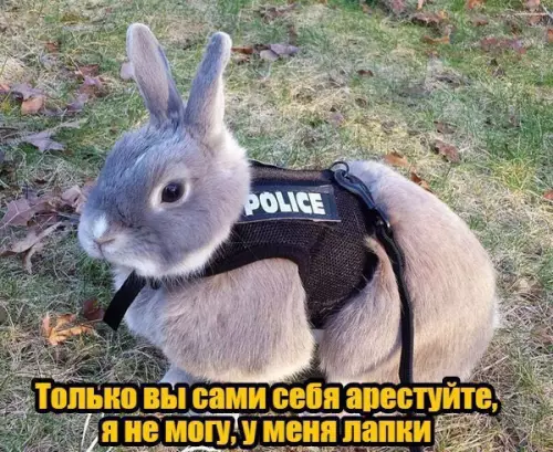 Смешная картинка №186045