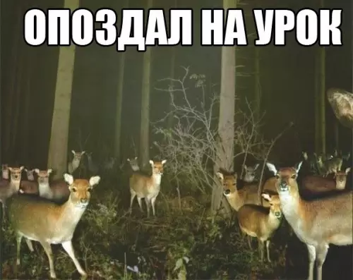 Смешная картинка №260917
