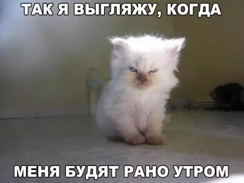 Смешная картинка №202073