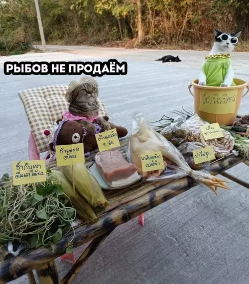 Смешная картинка №671955