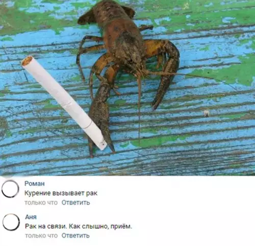 Смешная картинка №229766