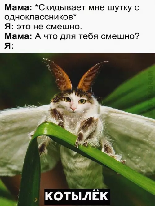 Смешная картинка №660258