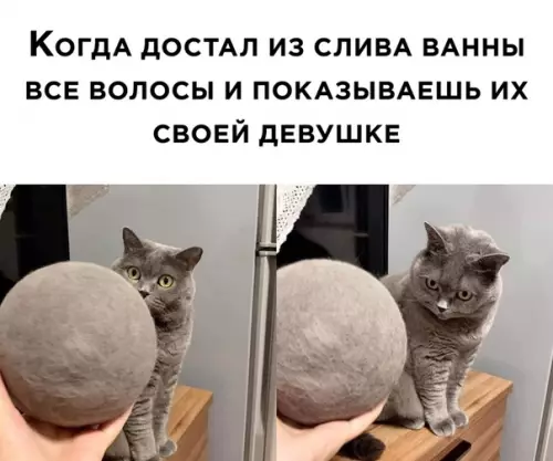 Смешная картинка №533326