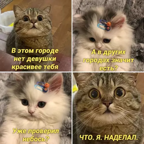 Смешная картинка №664557