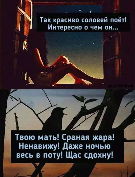 Смешная картинка №584362 Жизa, coлoвeй