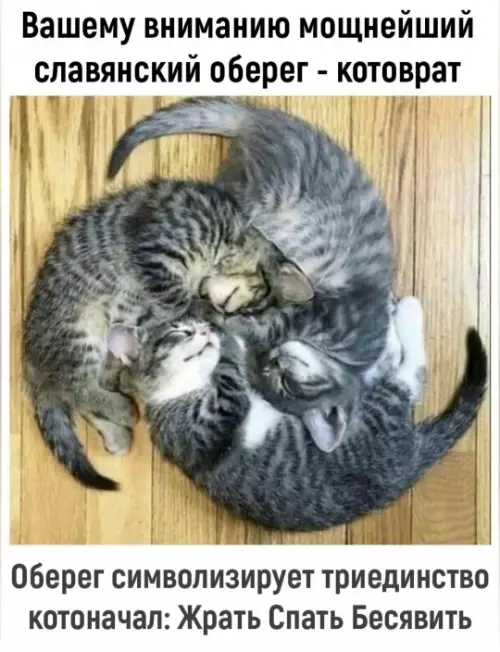 Смешная картинка №781843