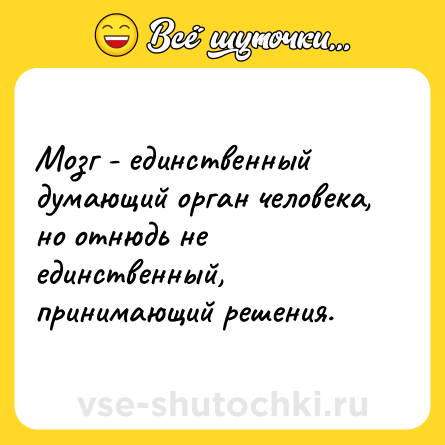 Шутка: Мозг - единственный думающий орган человека, но отнюдь не единственный, принимающий решения.