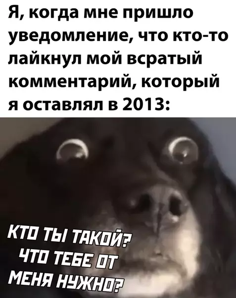 Смешная картинка №533759